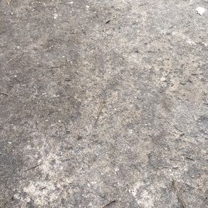 Meet your Posher, Jae